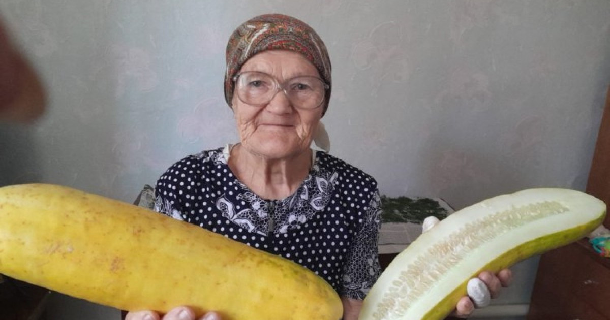 Павлодарда зейнеткер алып қияр өсірді
