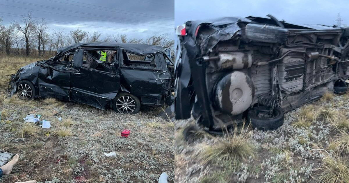 Павлодар облысында көлік апатынан жүргізуші мерт болды
