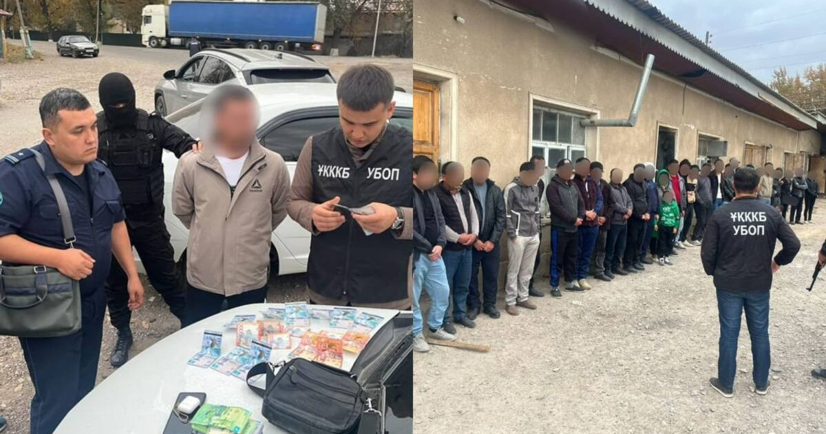 Сарыағашта заңсыз көші-қон ұйымдастырған тұрғынның үйінен 30 шетелдік табылды
