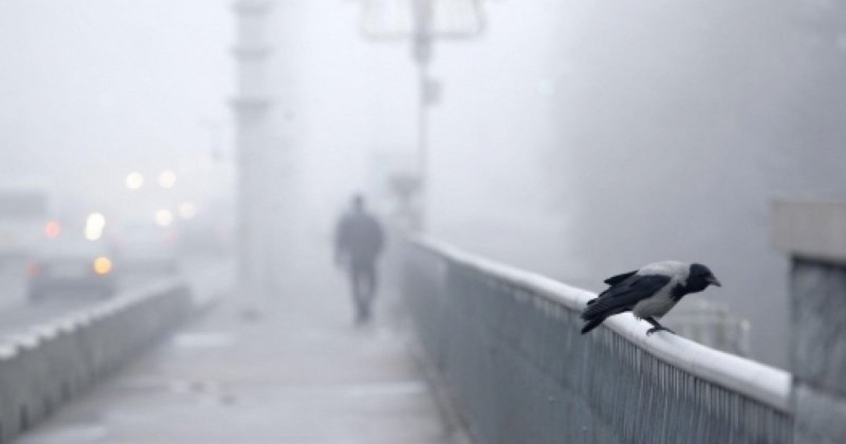 Бірнеше өңірде ауа райына байланысты ескерту жасалды