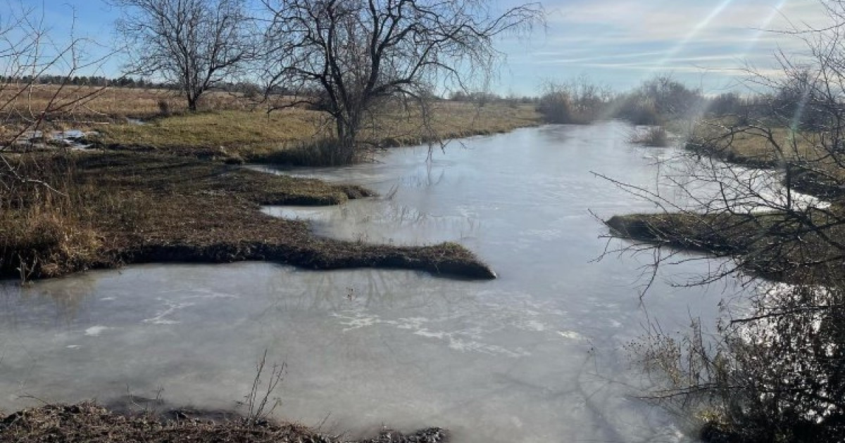 Павлодар облысында көпбалалы ана тікұшақпен іздестіріліп жатыр