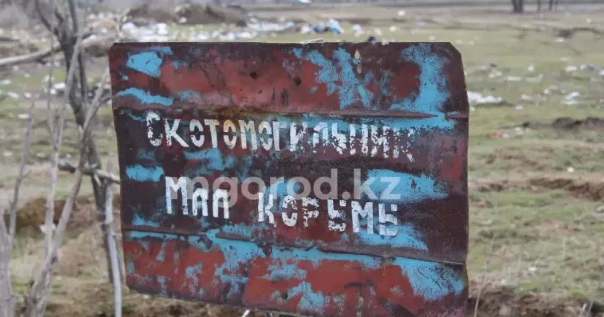 Орал қаласында тұрғын үйлер маңына сібір жарасынан өлген мал көмілген