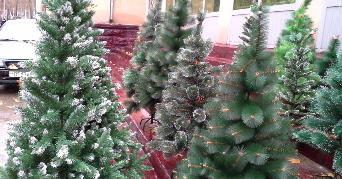 Ақтөбелік тұрғын арзан бағада шырша аламын деп алаяққа алданып қалған