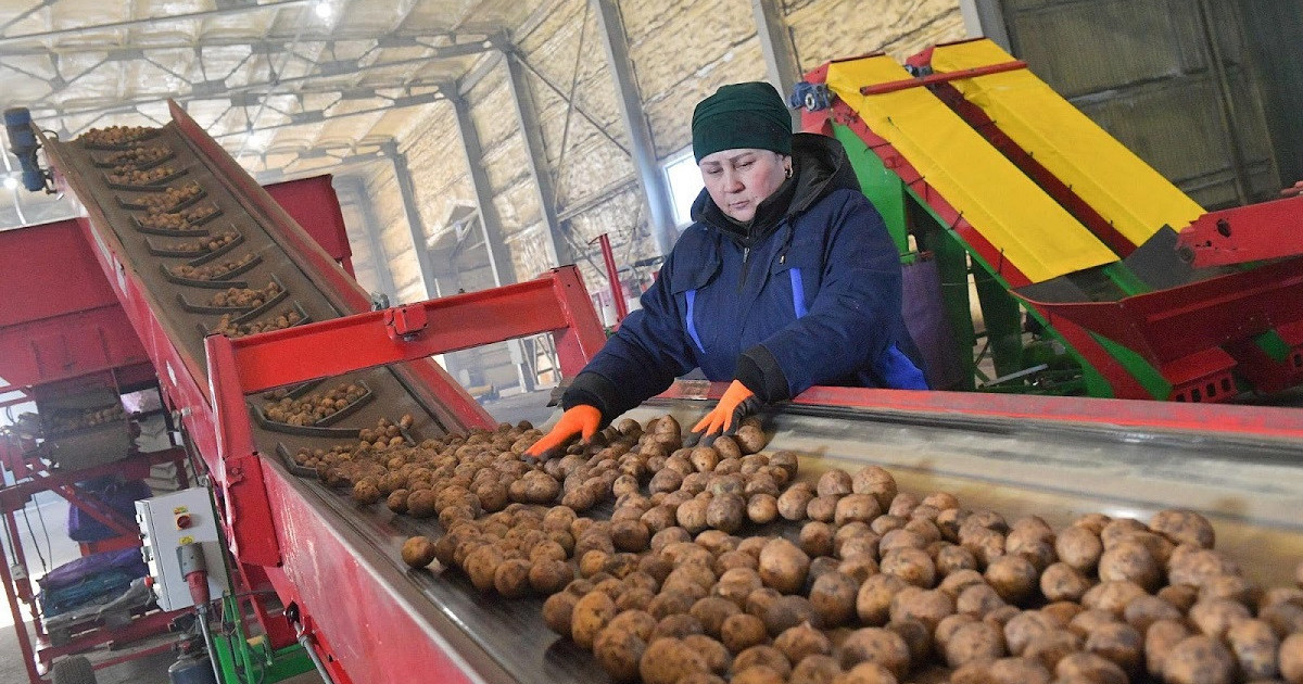 Жыл қорытындысы: Биыл азық-түлік өндірісінің көлемі 1,9%-ға өсті