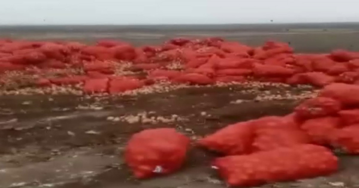 Атыраудағы қоқыс полигонына 20 тонна пияз төгілген