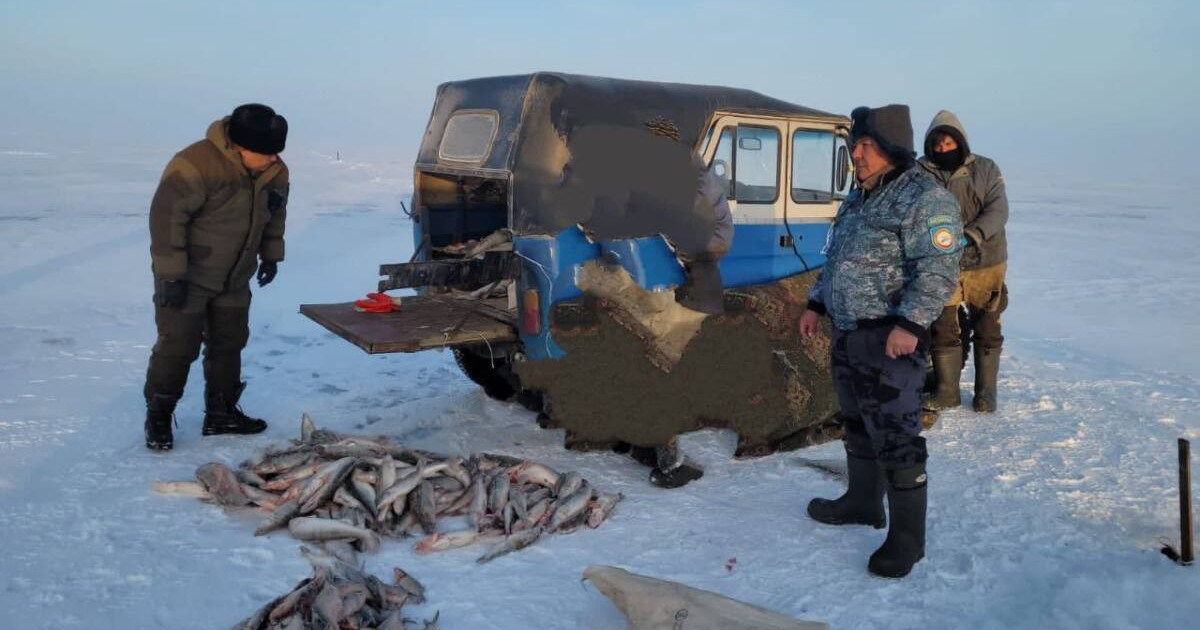 Жетісу облысында браконьерден 120 келіден астам балық тәркіленді