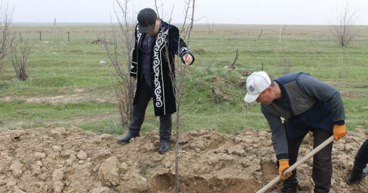 Жаңару күні аясында бүкіл ел бойынша 500-ден астам іс-шара өтеді