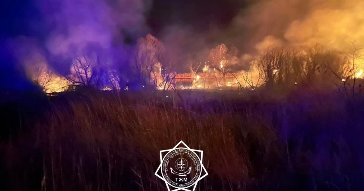 «Алтын Емел» ұлттық паркінің аумағындағы жер өртенді