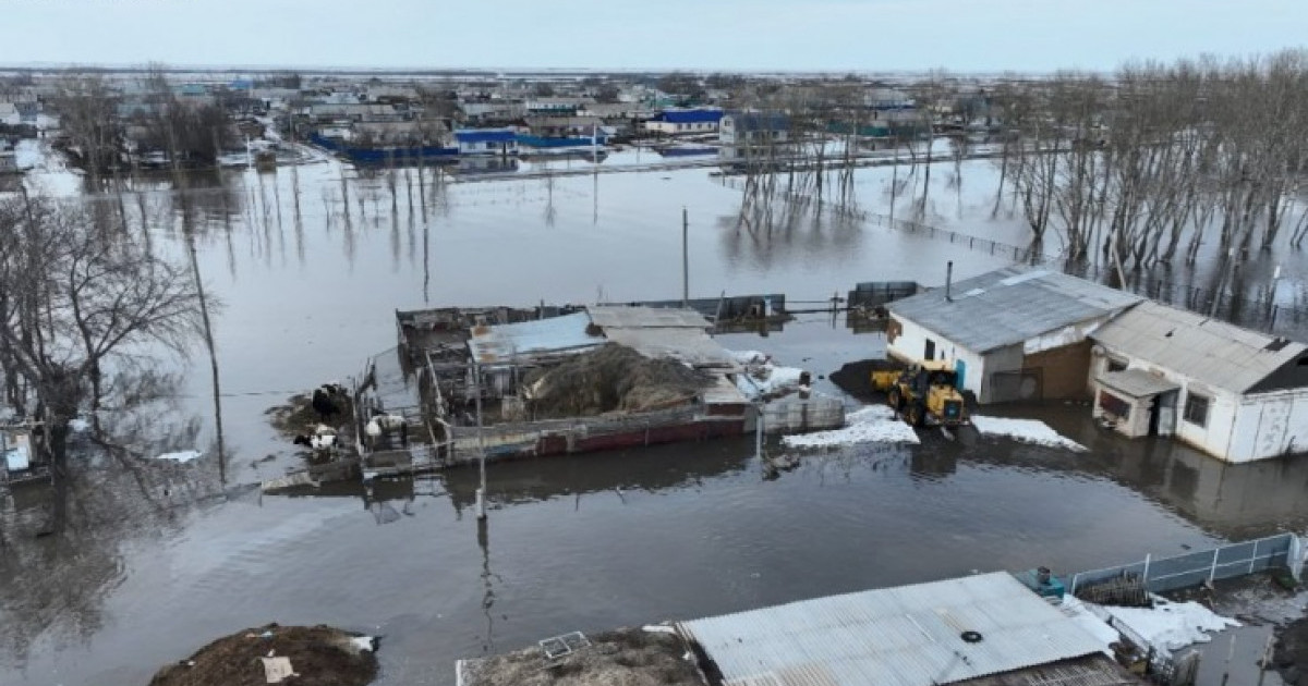 Министрлік су тасқынынан қырылған мал санын жариялады