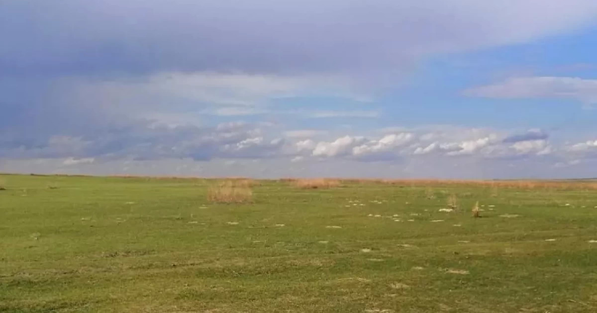 Құны 2 млрд теңгеден асатын жер мемлекет меншігіне қайтарылды