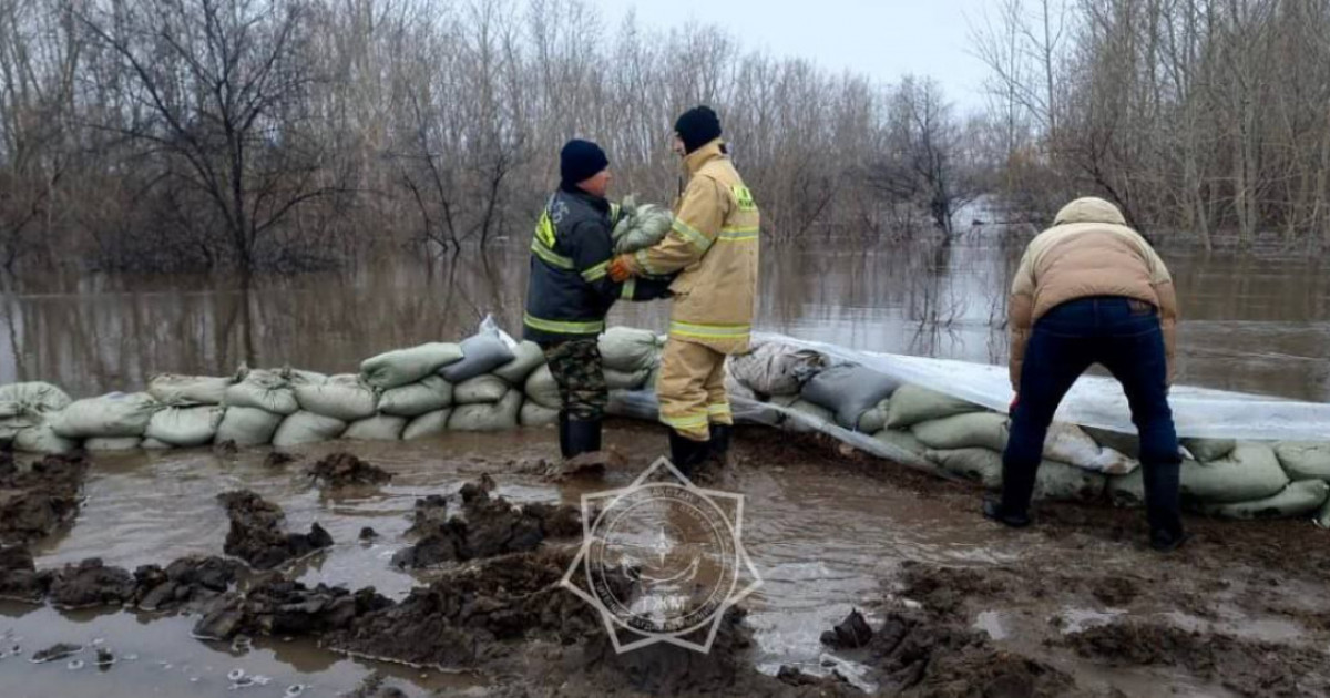 Ақтөбе облысында Ойыл өзеніндегі су деңгейі төмендеді