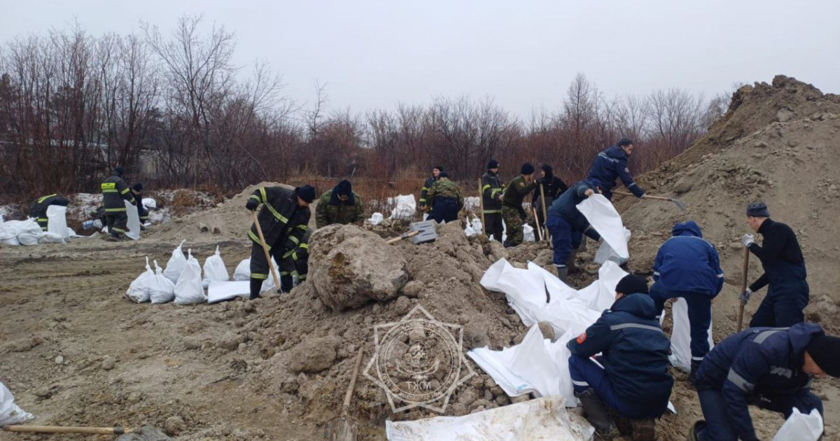 Сенатор мемлекеттік органдардың төтенше жағдай кезіндегі әрекеті үшін жауапкершілігін заңнамалық тұрғыдан бекітуді ұсынды