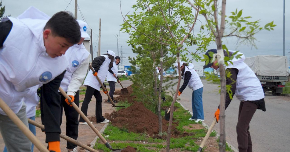 Қазақстан халқы Ассамблеясы жастар қанатының өкілдері елордада ағаш екті