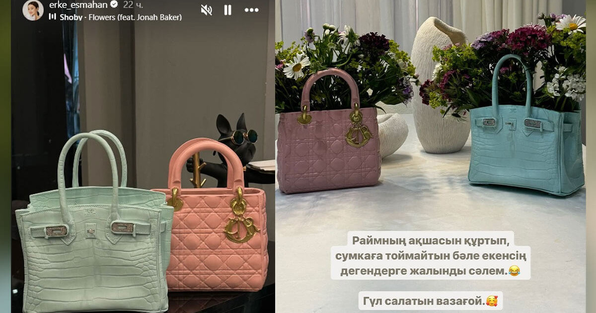 Ерке Есмахан оқырмандарын күлкі етті