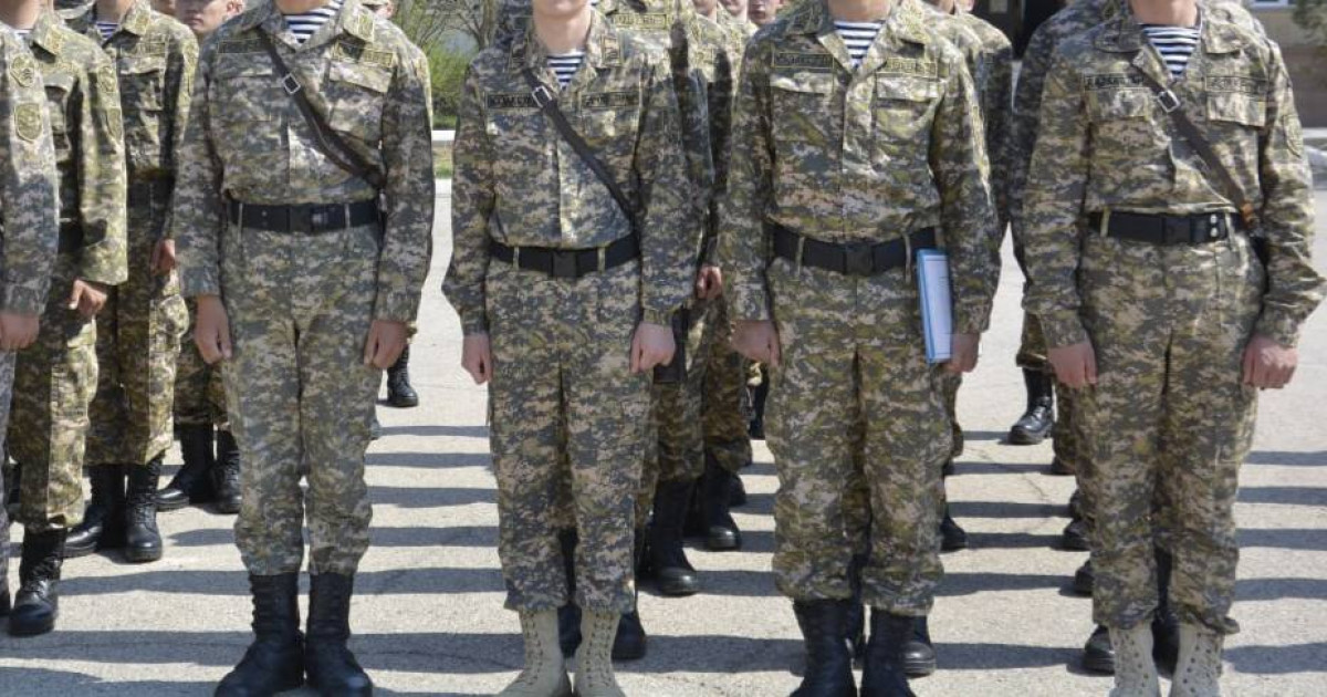 Отарда комаға түскен сарбаз: Тоқаев Қорғаныс министріне тапсырма берді