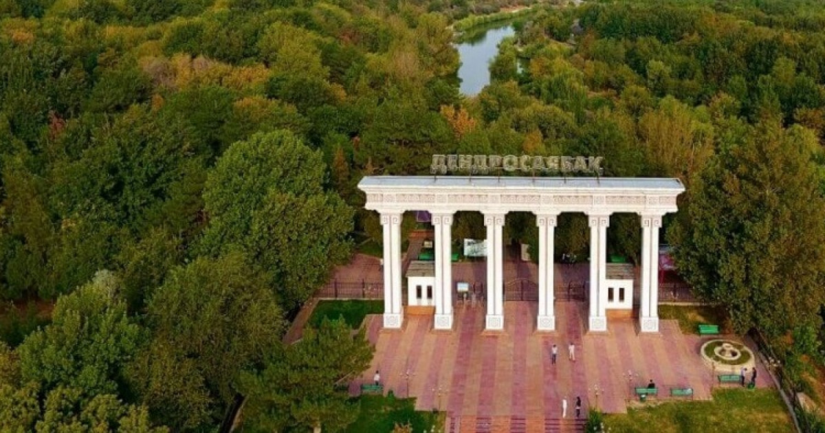 Шымкентте дендросаябақ басшысы күдікке ілінді