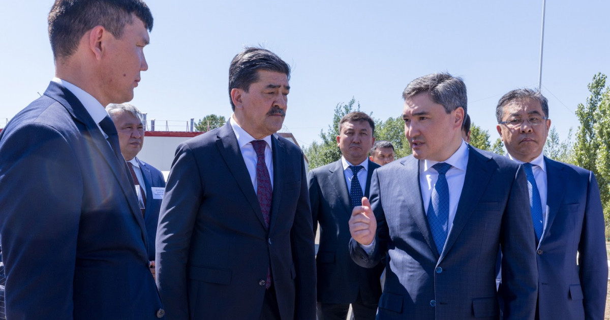 Премьер-Министр «Семей орманындағы» өртенген қарағайлы орманды қалпына келтіру жұмысын тексерді