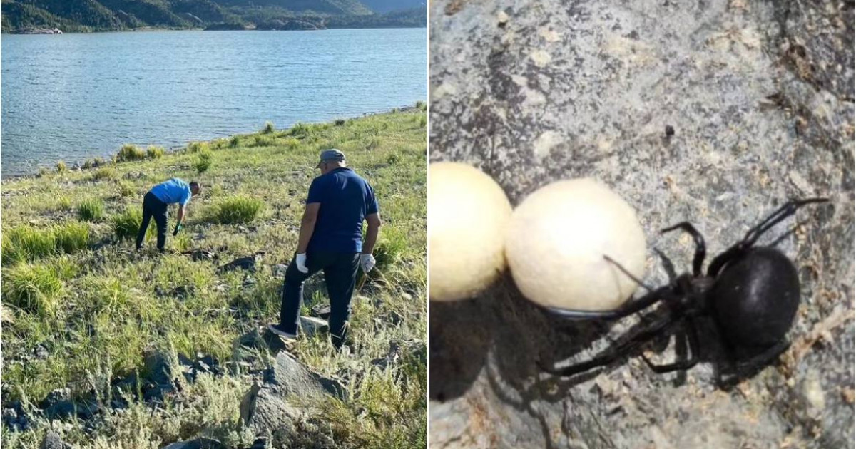 Павлодар облысында төтенше жағдай жарияланбақ