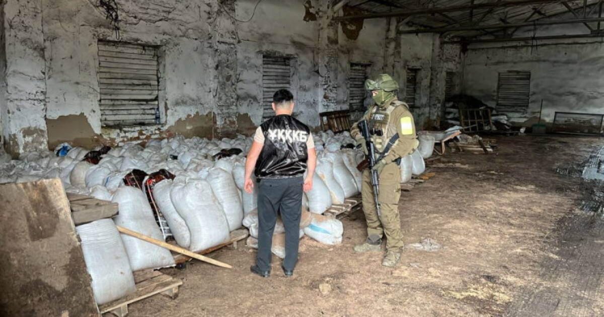Қызылжар ауданында 260 қап шаян жұмыртқасы тәркіленді