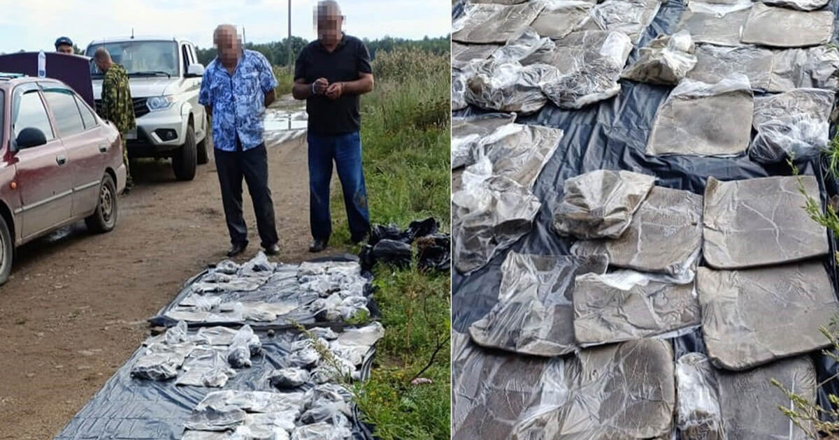 ҰҚК Ауғанстаннан есірткі тасымалдағандарды ұстады
