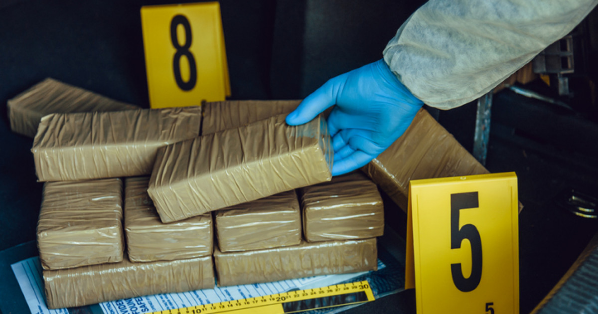 Шығыс Қазақстанда 3,5 млрд теңгенің есірткісі тәркіленді