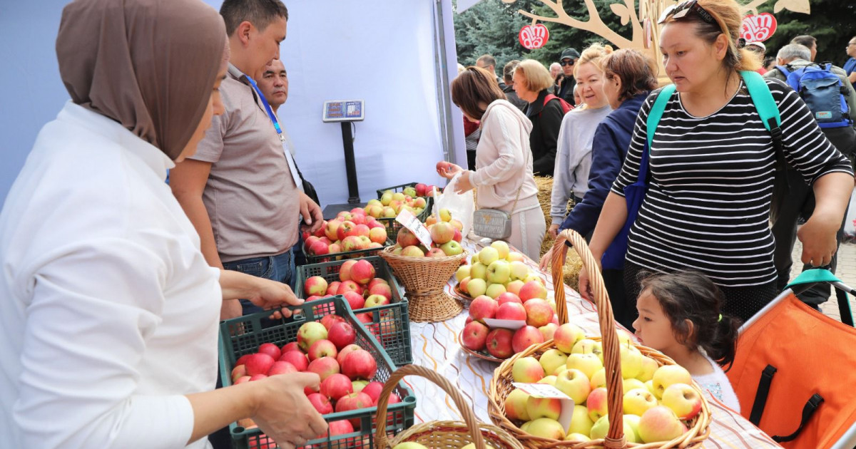 Apple Fest-2024: Hiro және Captown, 130 тонна алма, 1700 литр алма компоты және Шапито циркі