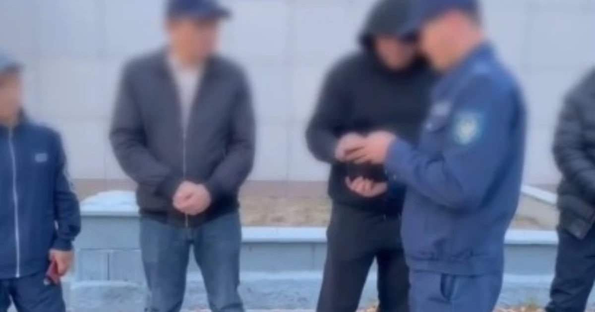 Жолдың бойында көкпар ойнағандар жауапқа тартылды