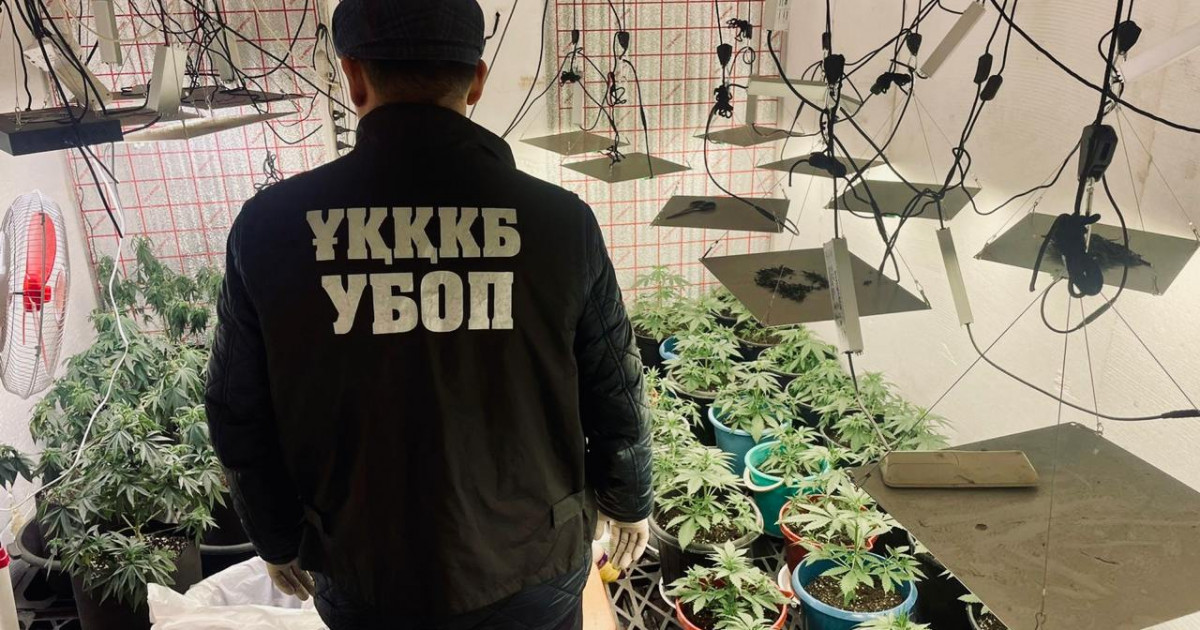 БҚО-да есірткі зертханасын жасақтаған 49 жастағы ер адам ұсталды