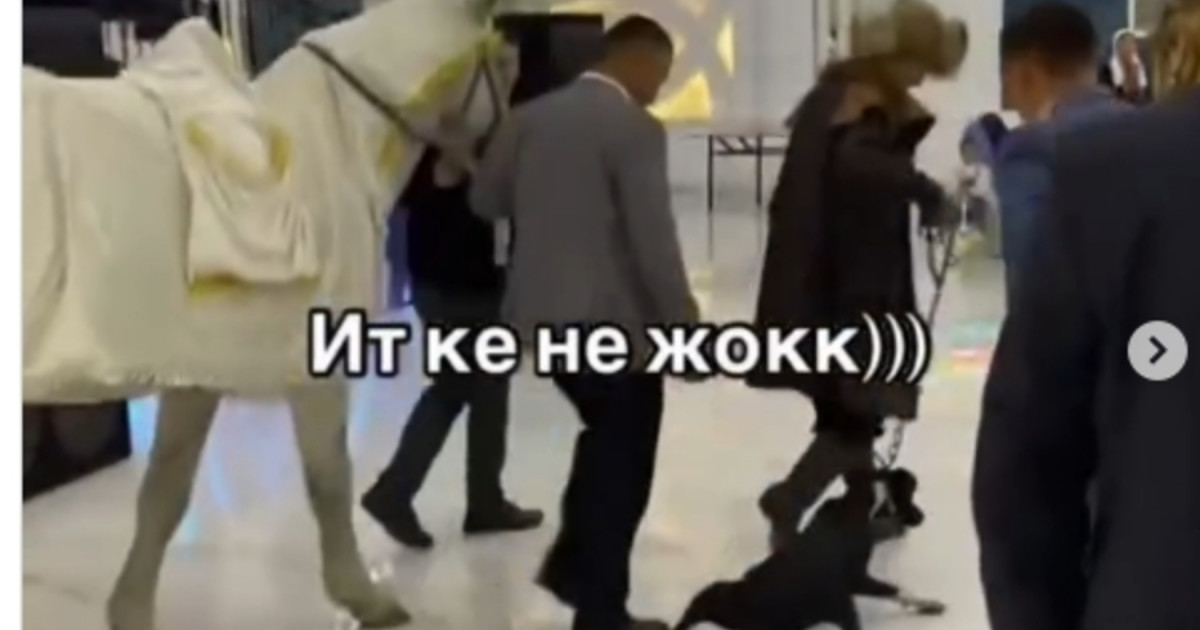 Тойда ат жетектеп, итті сүйреп шыққандар көпшіліктің сынына қалды