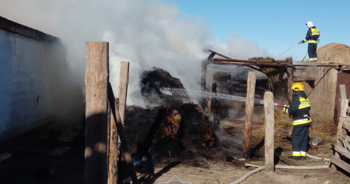 Абай облысында 15 тонна шөп өртенді