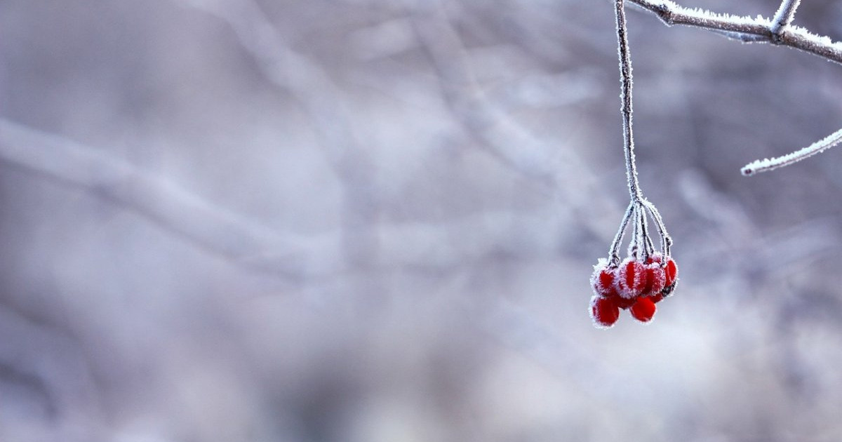 Көктайғақ және тұман: бірнеше өңірде ескерту жарияланды