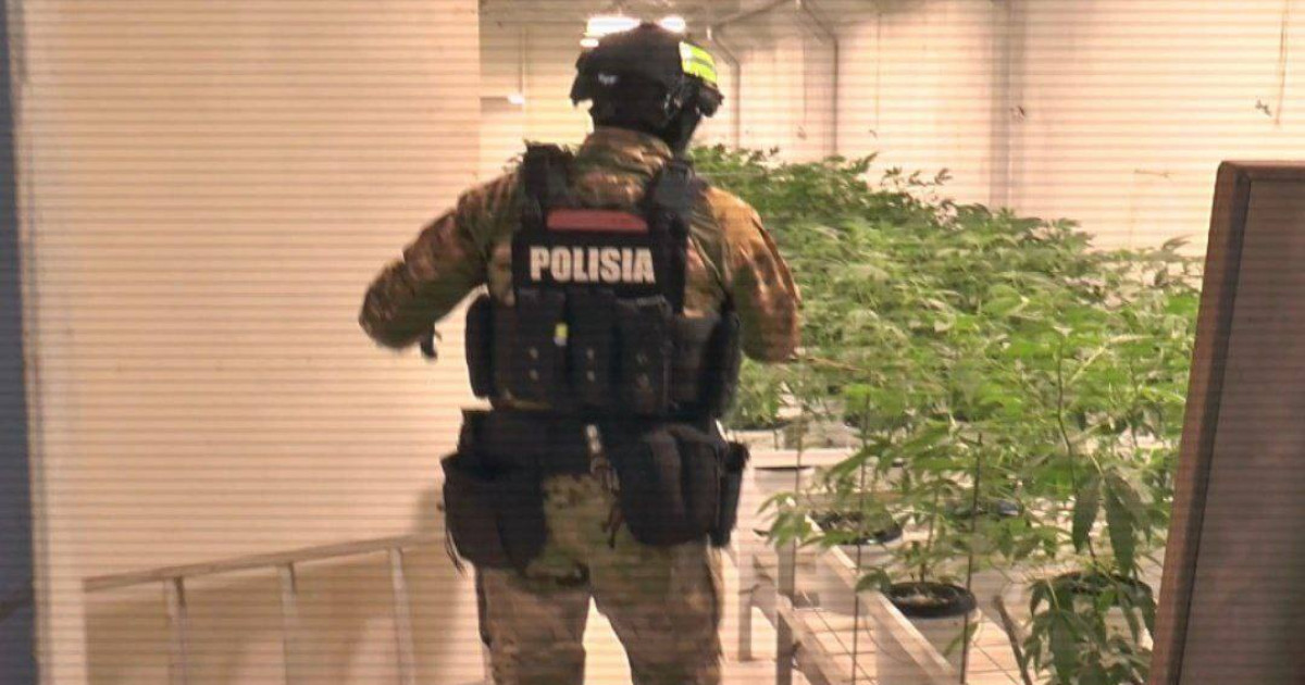 ІІМ: Екі айда 12 есірткі зертханасы мен 4 притон әшкереленді