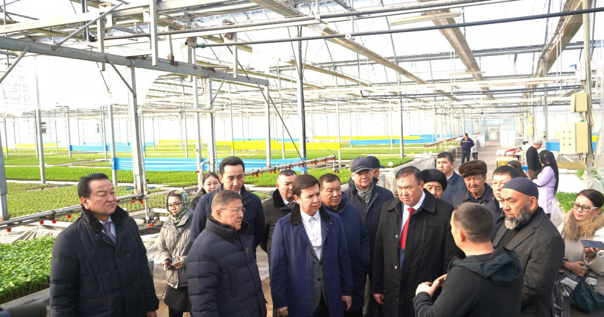 Мәжіліс депутаттары Түркістан облысындағы кәсіпорындарды аралады