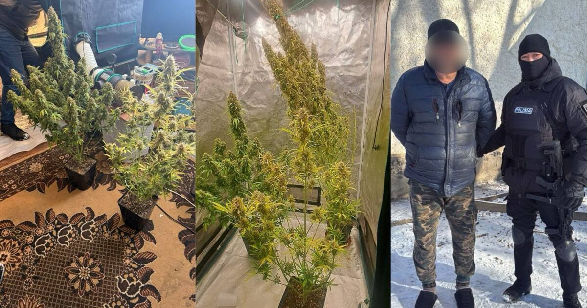 Алматы облысында ірі көлемде есірткі мен заңсыз қару тәркіленді