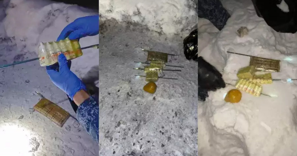 ШҚО-дағы түрмеге тыйым салынған заттарды өткізбекші болған күдіктілер ұсталды