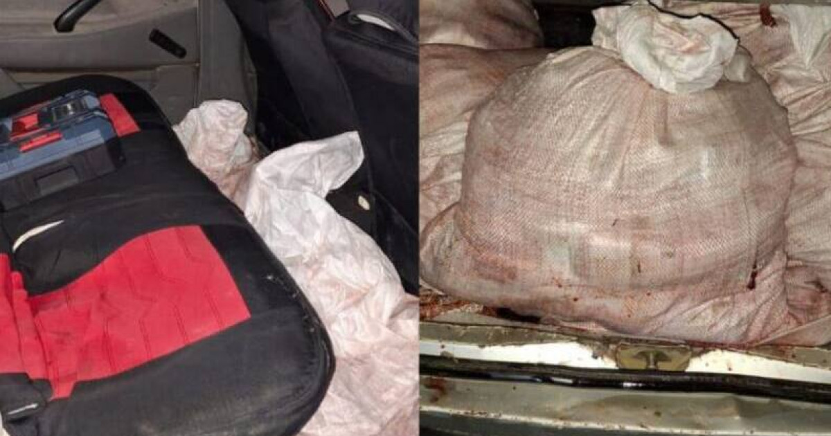 Қызылорда облысында браконьерден 14 қап киік еті тәркіленді