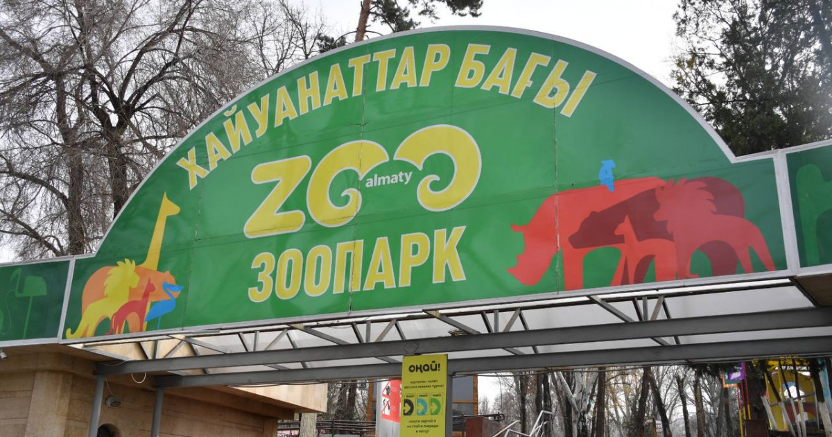 Алматы хайуанаттар бағы рекорд орнатты