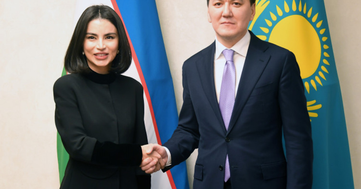 Ерлан Қарин Өзбекстан Президентінің көмекшісімен кездесті