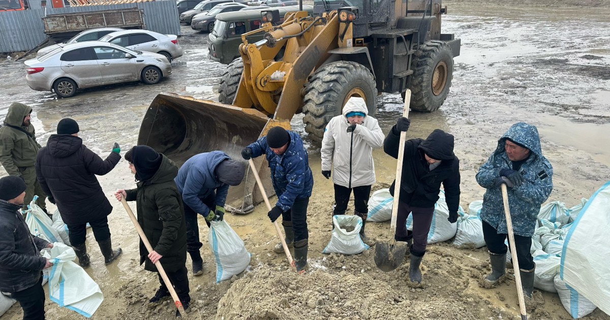«Таза бейсенбі»: Айналамызды жақсартуға әрқайсымыз үлес қоса аламыз