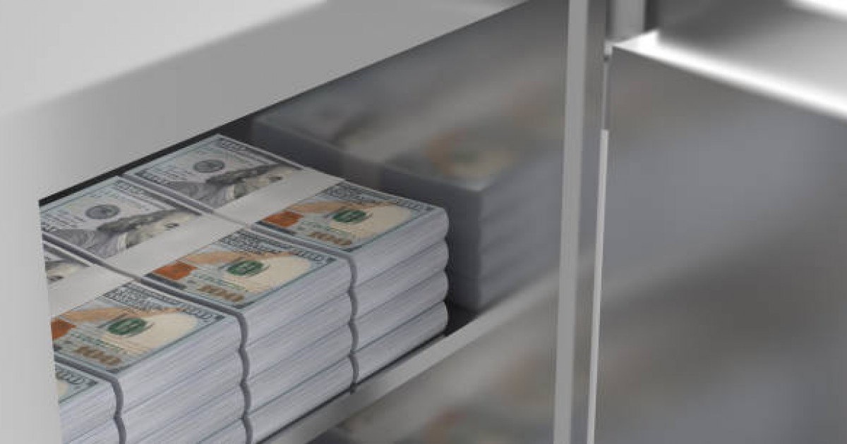 Қазақ-өзбек шекарасында 1,3 млн долларды заңсыз өткізбек болған адам ұсталды