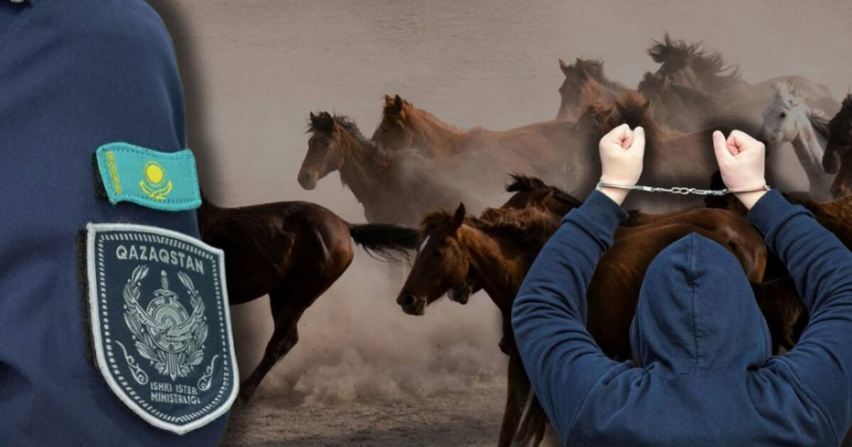 Қызылорда облысында полиция 7 мал ұрлығын анықтады