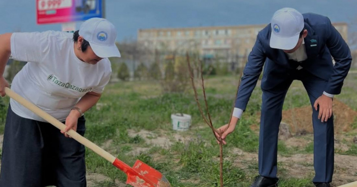 «Таза бейсенбі»: өңірлерде көгалдандыру жұмыстары басталды