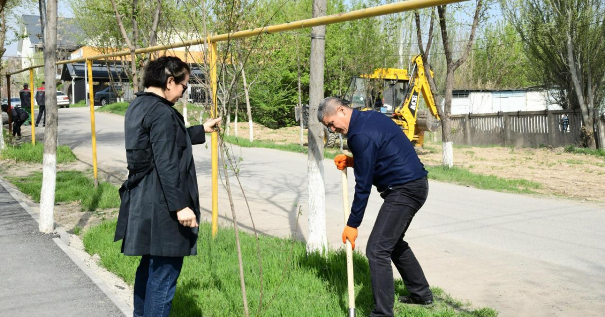 “Таза Қазақстан”: 74,1 мың жасыл желек отырғызылды