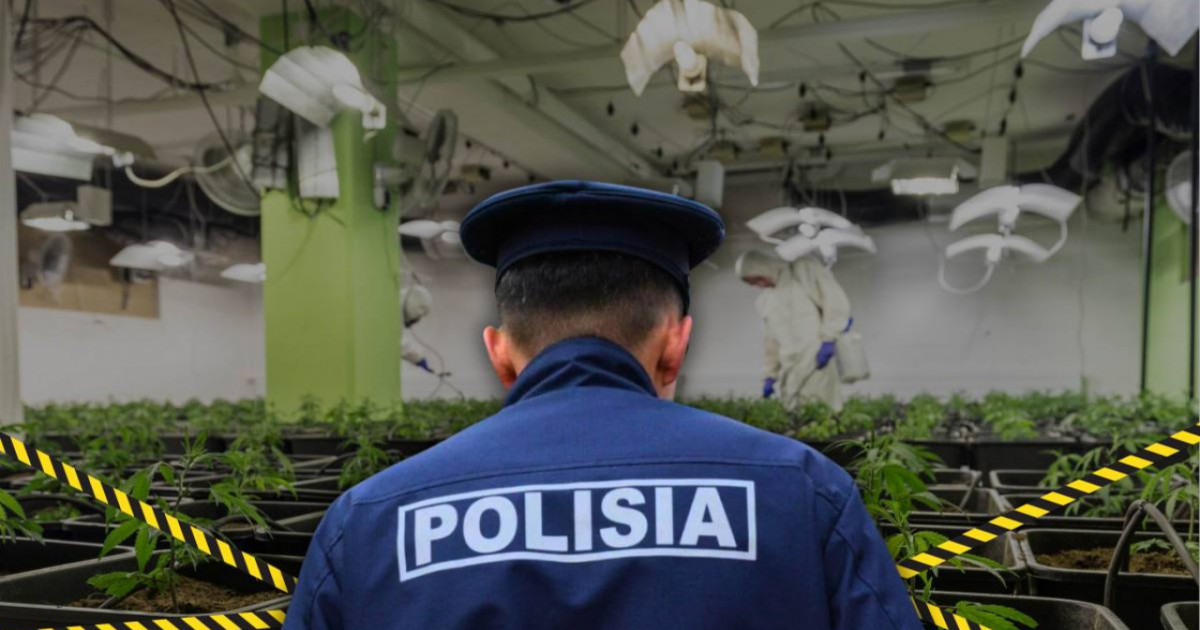 Алматы тұрғынынан 21 келі есірткі тәркіленді