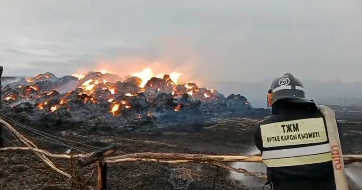 Шығыс Қазақстанда 150 тонна шөп өртеніп кетті