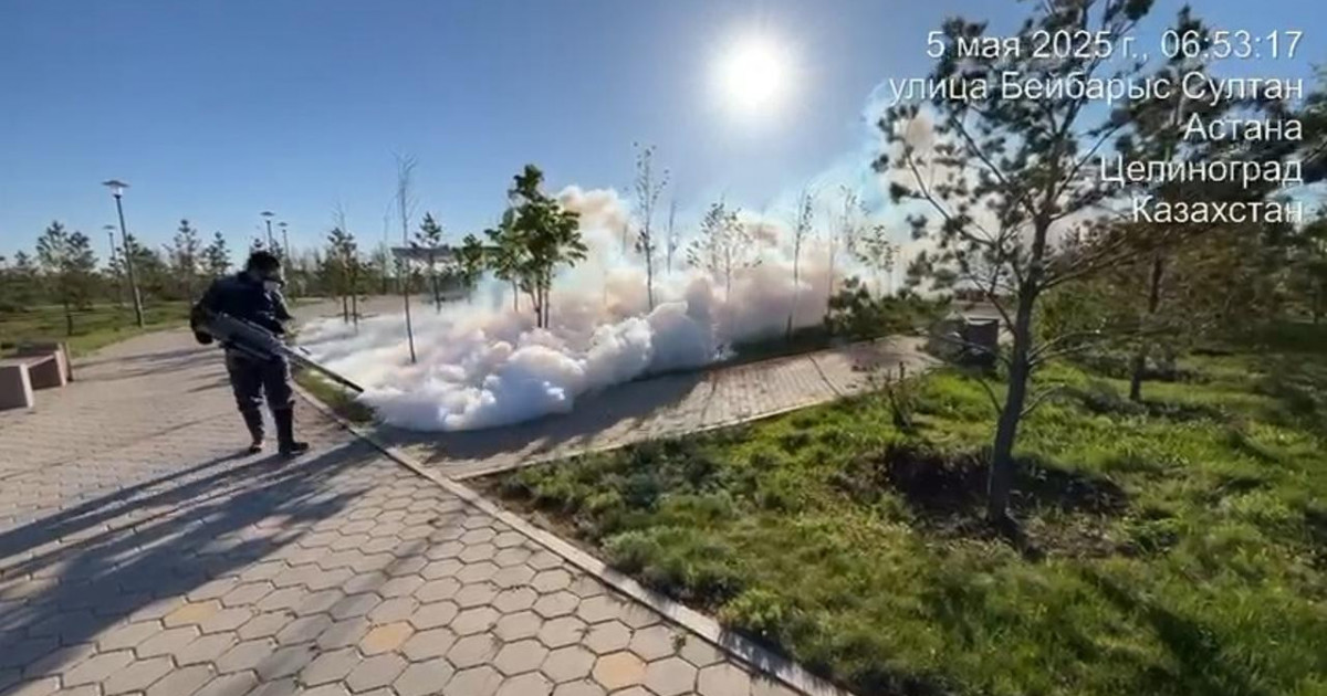 Елордада шыбын-шіркейге қарсы дезинфекция жұмыстары басталды