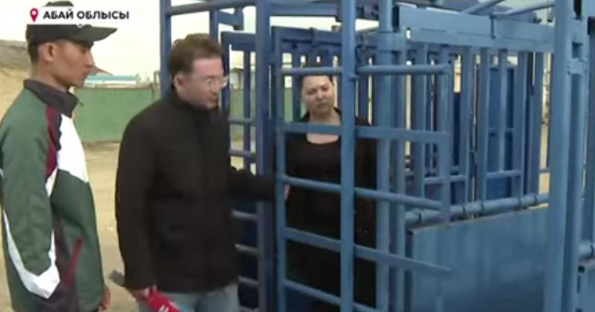 Абай облысының 22 жастағы тұрғыны мал дәрігерлерінің жұмысын жеңілдететін құрылғы ойлап тапты