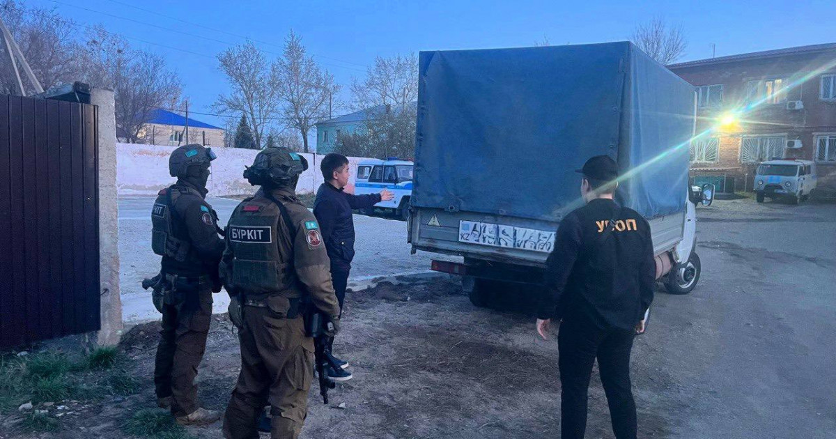 «Құны – 520 млн теңге»: Семей орманынан 260 мың көшет ұрланған