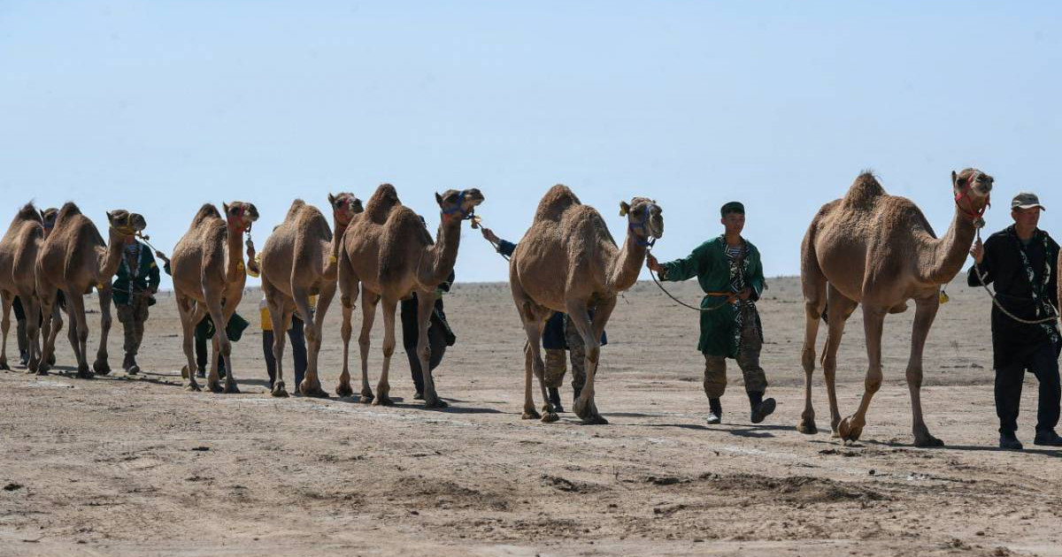 Кеңседегі үшеуінің порно видеосы