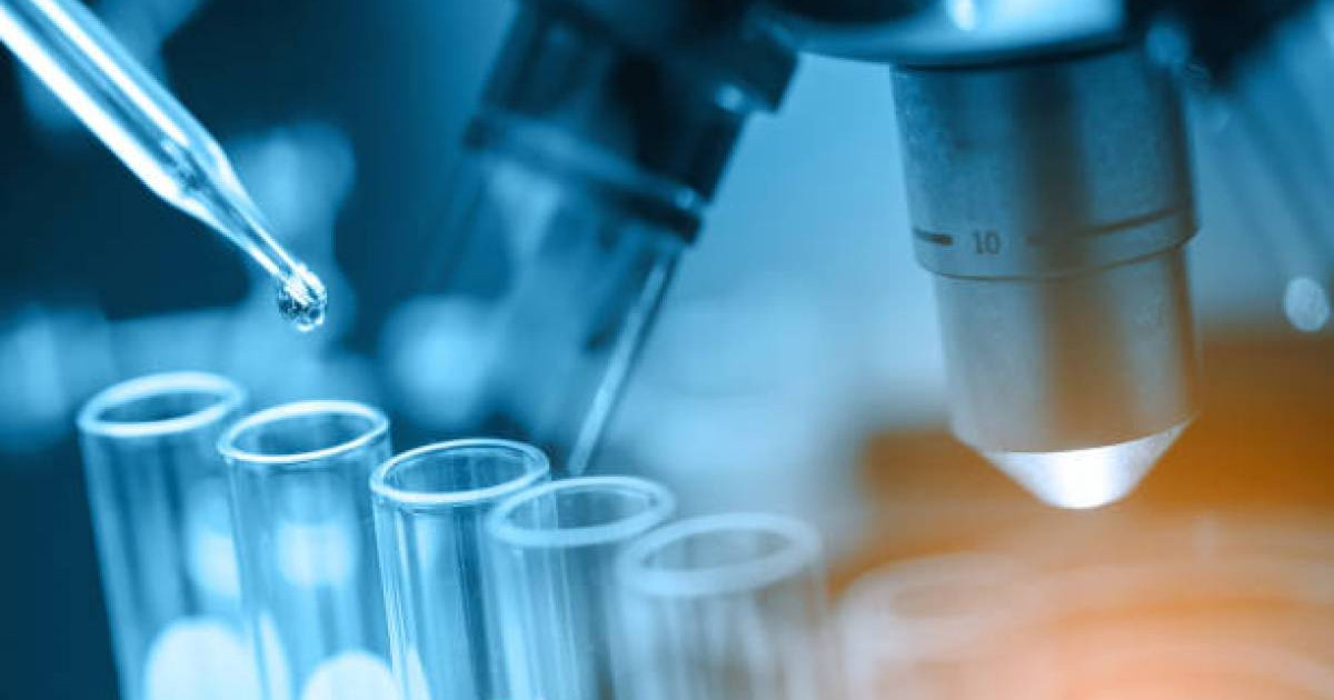 Нижний Новгородтағы гейлердің демалысы